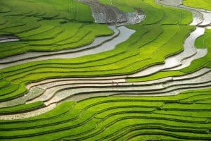 Eco-Resorts: Greenwashing vs. Genuine Sustainability