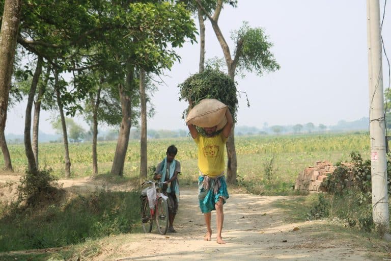 Arbitration vs. Mediation: Choosing the Best Path for Business Disputes