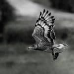 Turbulence Survival Guide: What Pilots Won’t Tell You