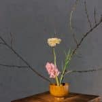 Fast Fashion’s Mental Health Toll on Garment Workers