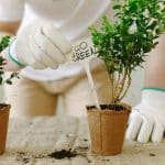 Net-Zero Homes: Tax Credits Making Green Upgrades Profitable