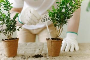 Net-Zero Homes: Tax Credits Making Green Upgrades Profitable