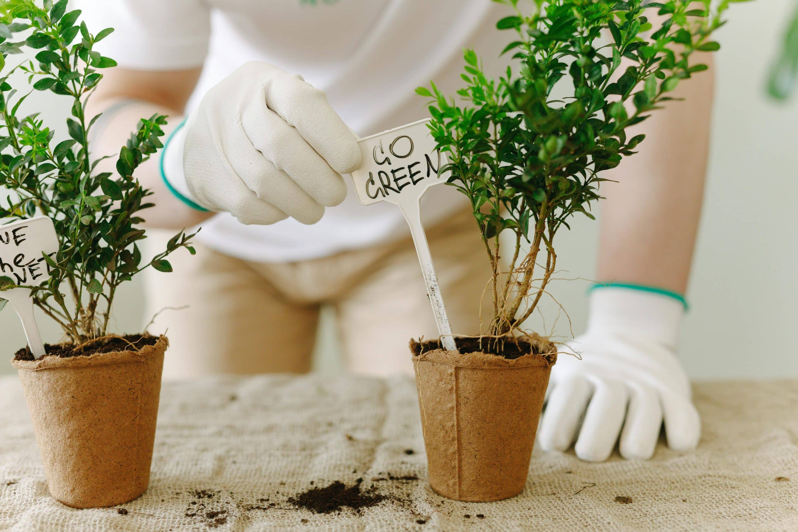 Net-Zero Homes: Tax Credits Making Green Upgrades Profitable