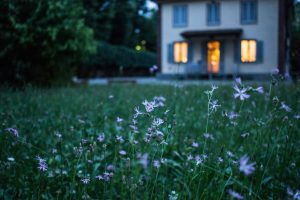 The Complete Guide to Smart Home Lighting Control