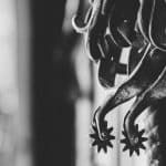 The Complete Guide to Professional Streaming Equipment