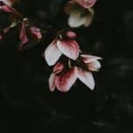 The Dark Side of Haul Culture: Returns That End Up in Landfills