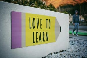 Understanding the Role of Mentorship in Higher Education