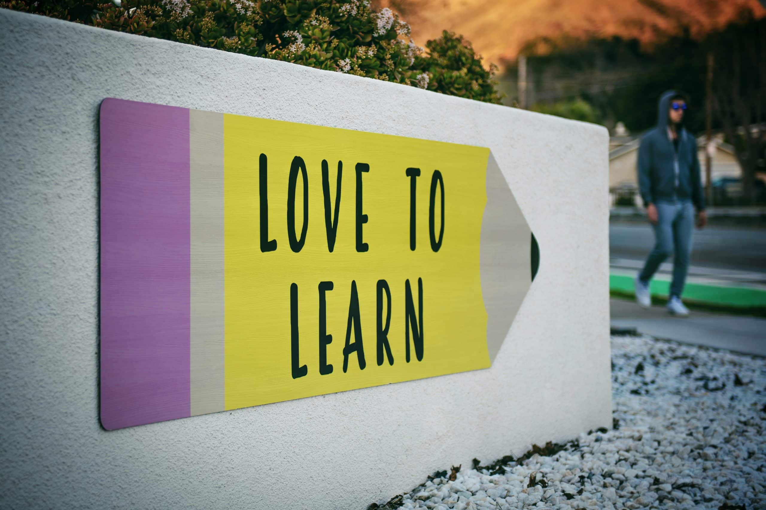 Understanding the Role of Mentorship in Higher Education