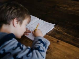 The Impact of Social Learning on Student Success