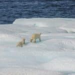 How Weather Monitoring Improves Transportation Safety