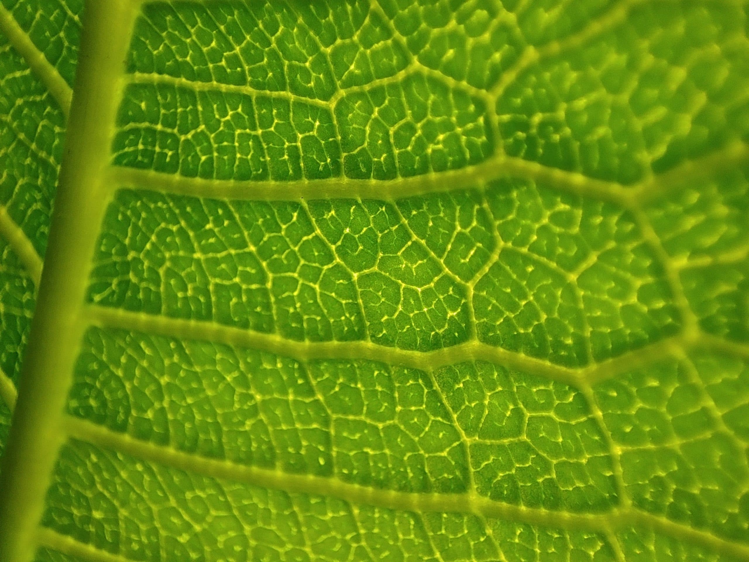 The Impact of Green Building Design