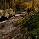 Asylum Seekers’ Rights: Current Challenges in U.S. Immigration Courts