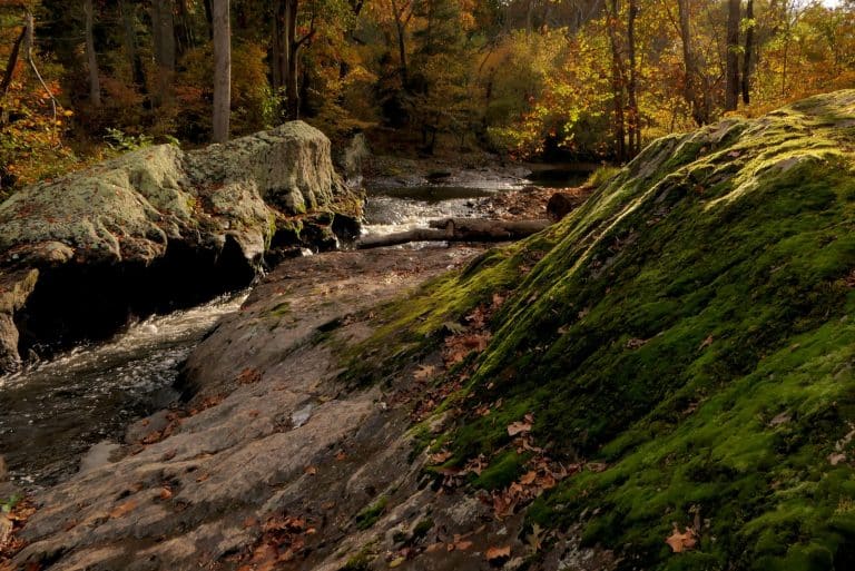 Asylum Seekers’ Rights: Current Challenges in U.S. Immigration Courts